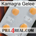 Kamagra Jelly 24